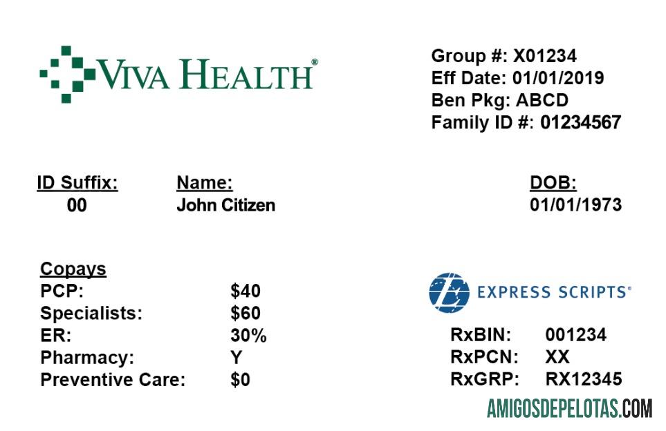 Cartão de seguro saúde VivaHealth dos EUA exemplo real